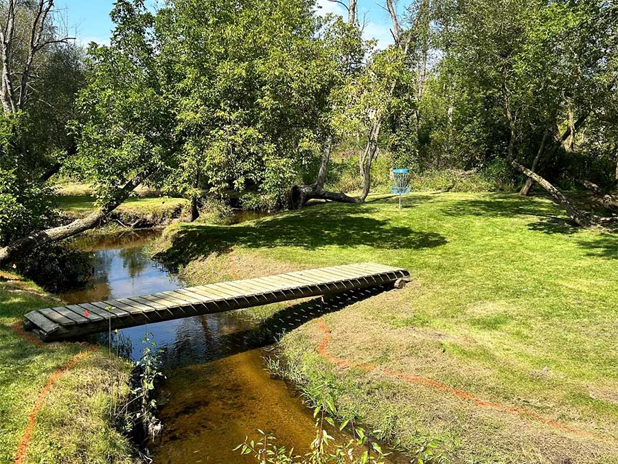 disc golf park photo